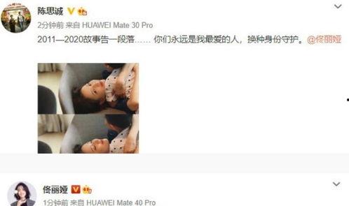 圈内爆料陈思诚佟丽娅,圈内爆料背后的真相 第3张 圈内爆料陈思诚佟丽娅,圈内爆料背后的真相 第3张