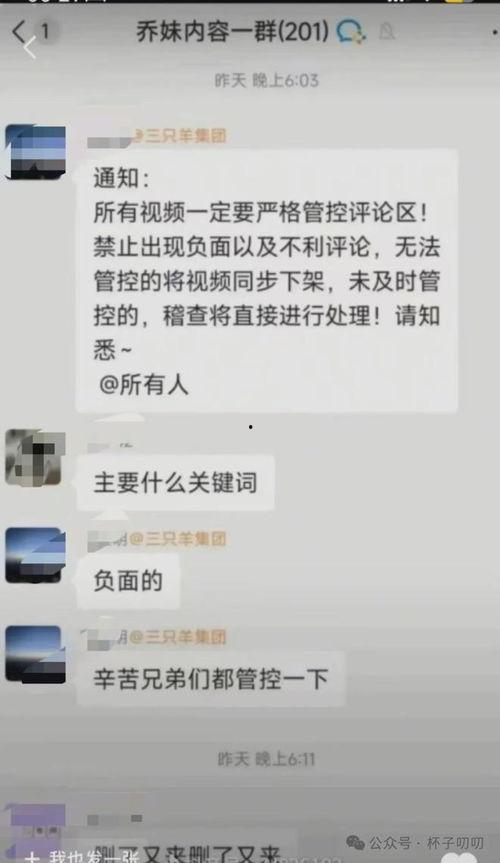 三只羊员工爆料视频大全,揭秘职场真相与幕后故事  第2张